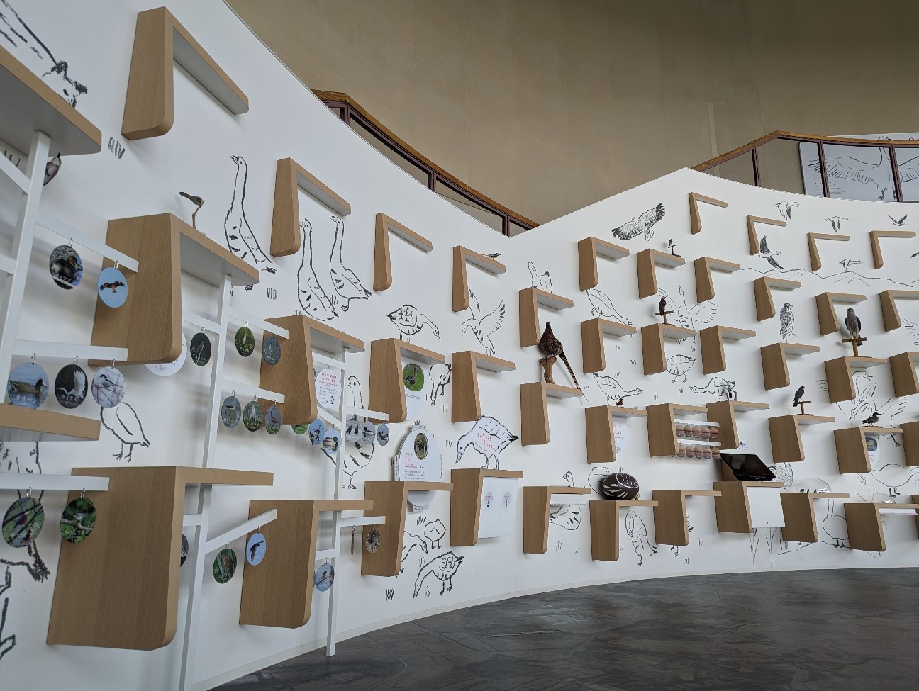 f:id:ranchou:20230430090558j:image