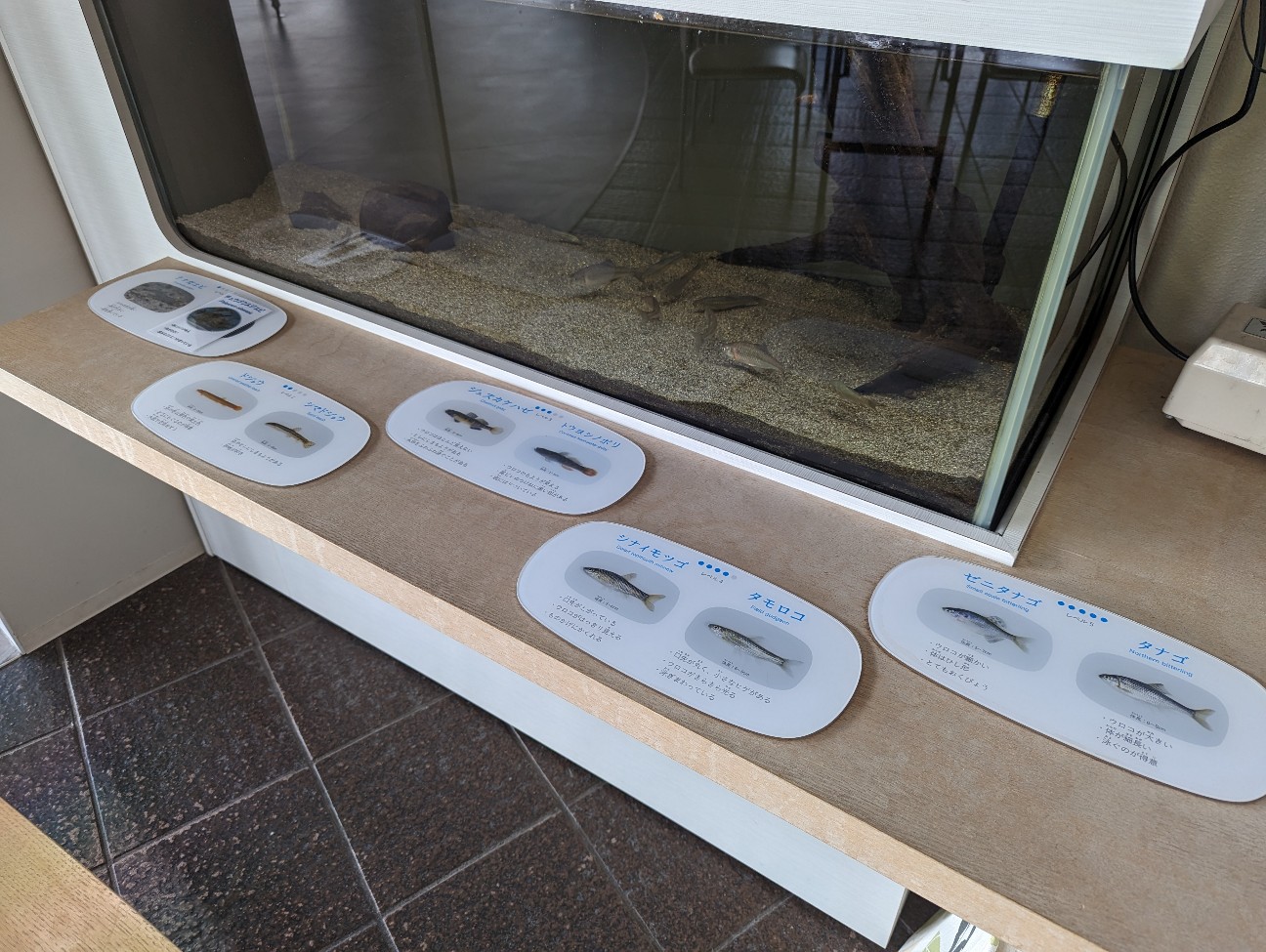 f:id:ranchou:20230430090706j:image