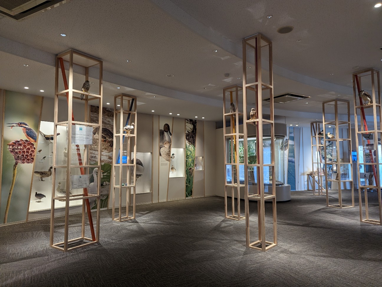 f:id:ranchou:20230430090734j:image