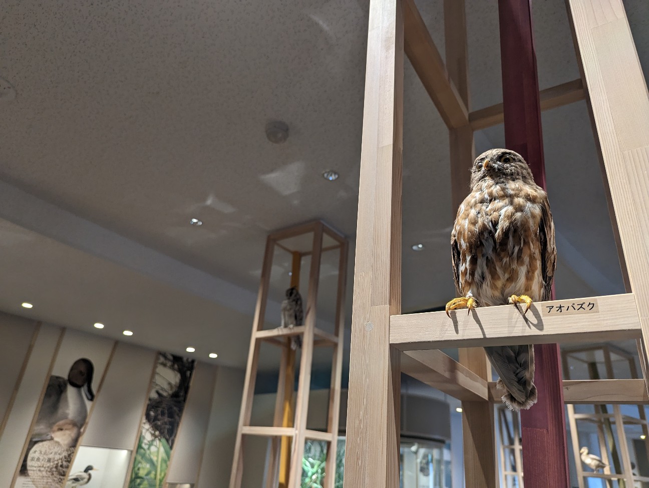 f:id:ranchou:20230430090744j:image