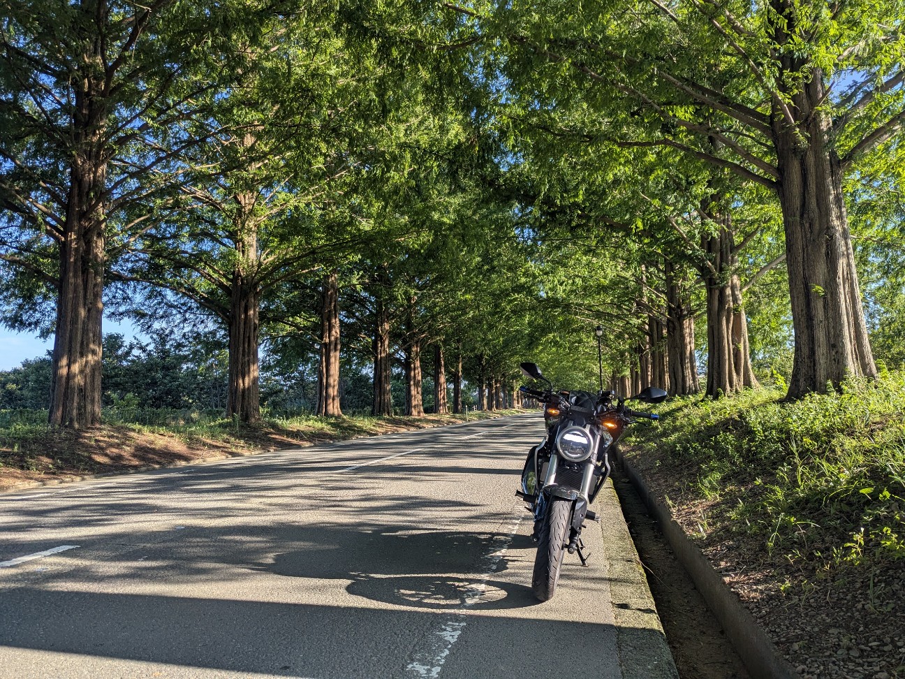 f:id:ranchou:20250802200107j:image f:id:ranchou:20250802200107j:image