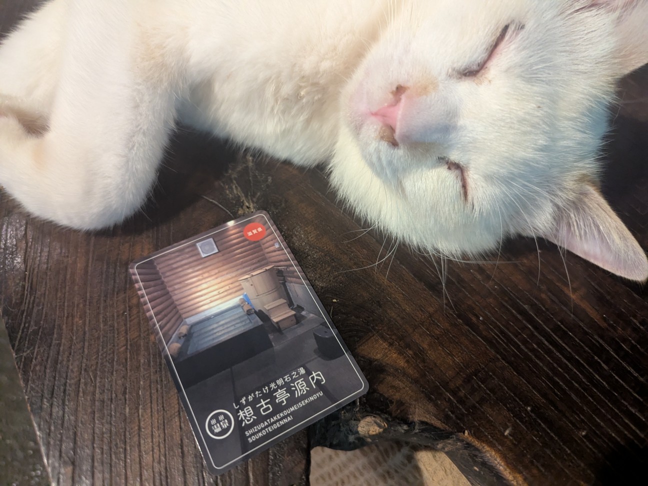 f:id:ranchou:20250802200637j:image f:id:ranchou:20250802200637j:image