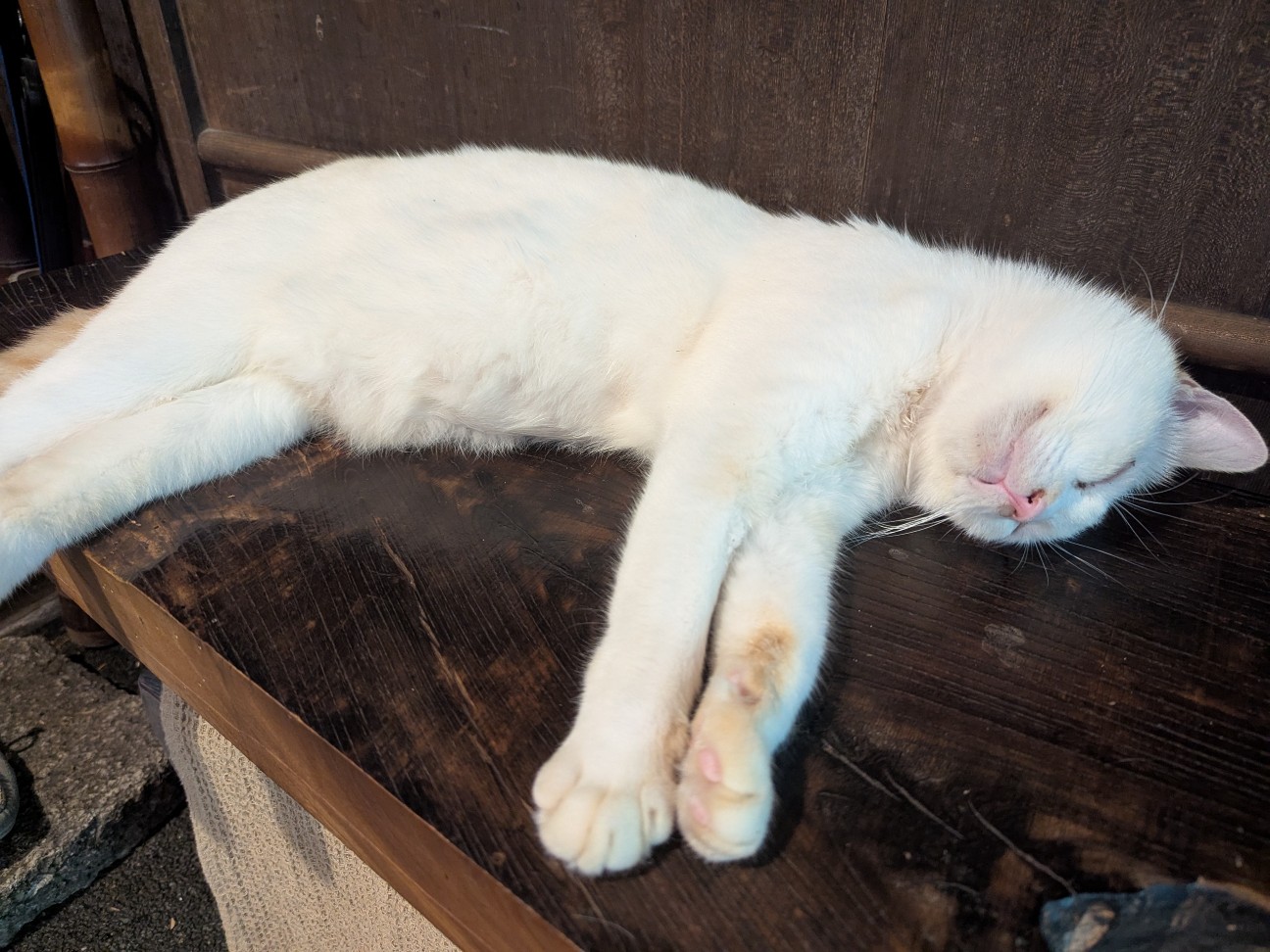 f:id:ranchou:20250802200809j:image f:id:ranchou:20250802200809j:image