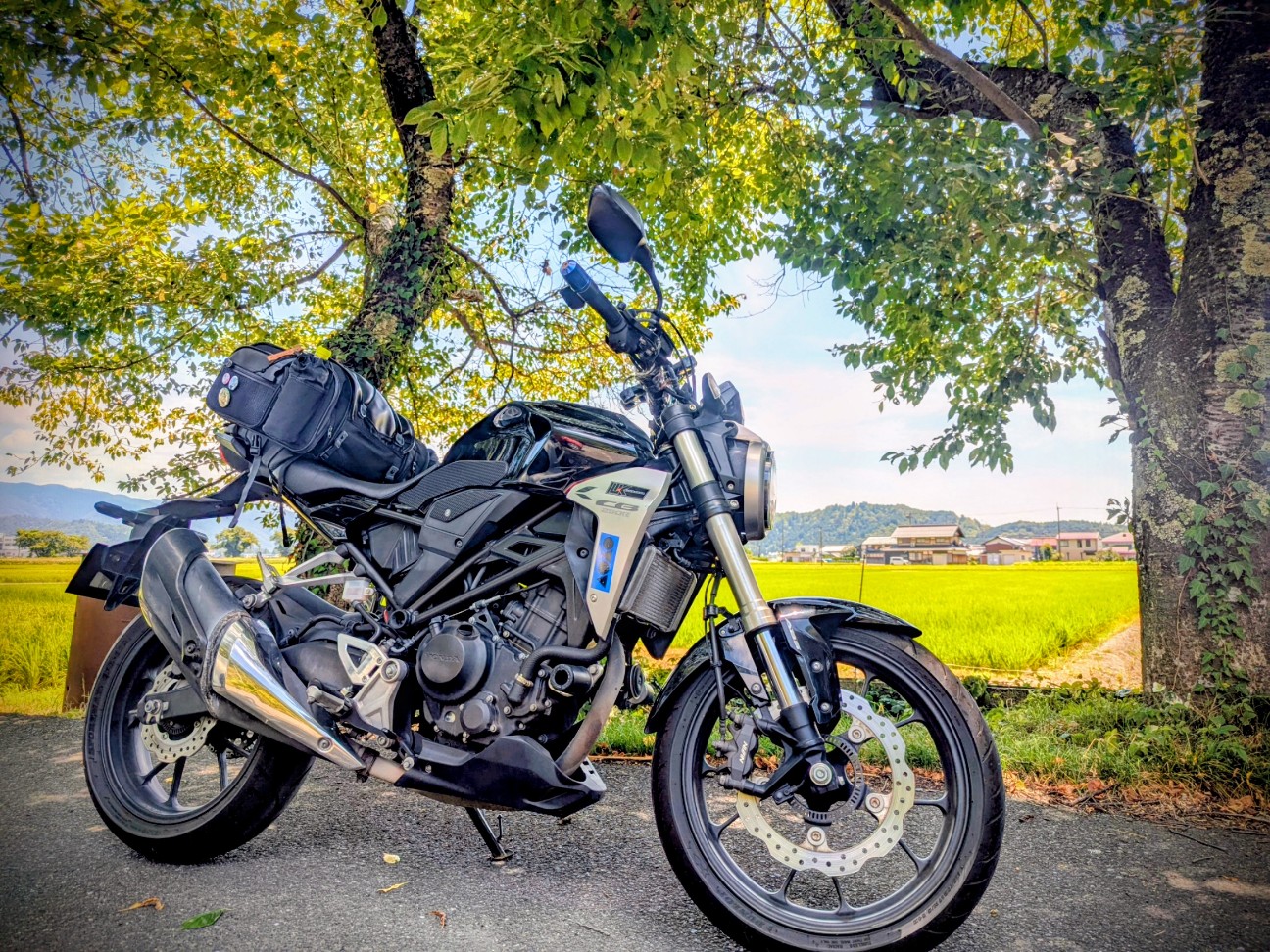 f:id:ranchou:20250802202428j:image f:id:ranchou:20250802202428j:image