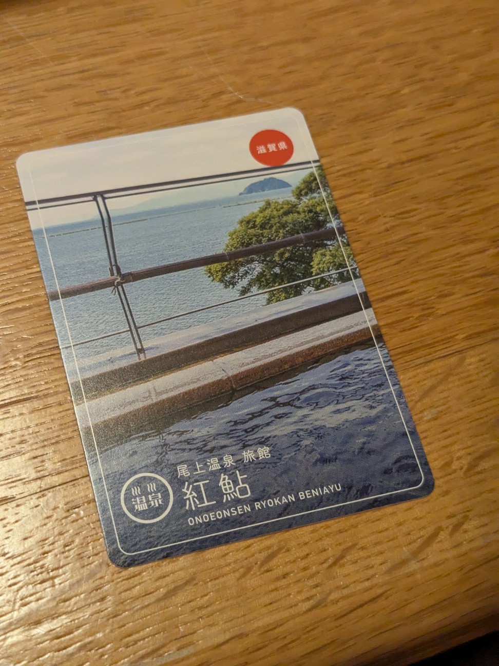 f:id:ranchou:20250803065814j:image f:id:ranchou:20250803065814j:image