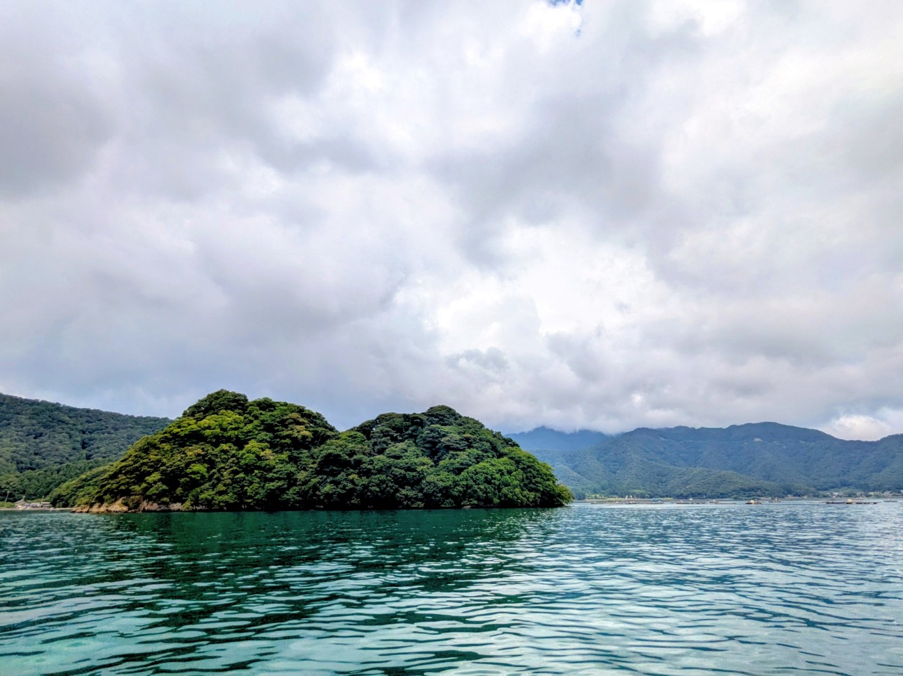 f:id:ranchou:20250803111751j:image f:id:ranchou:20250803111751j:image