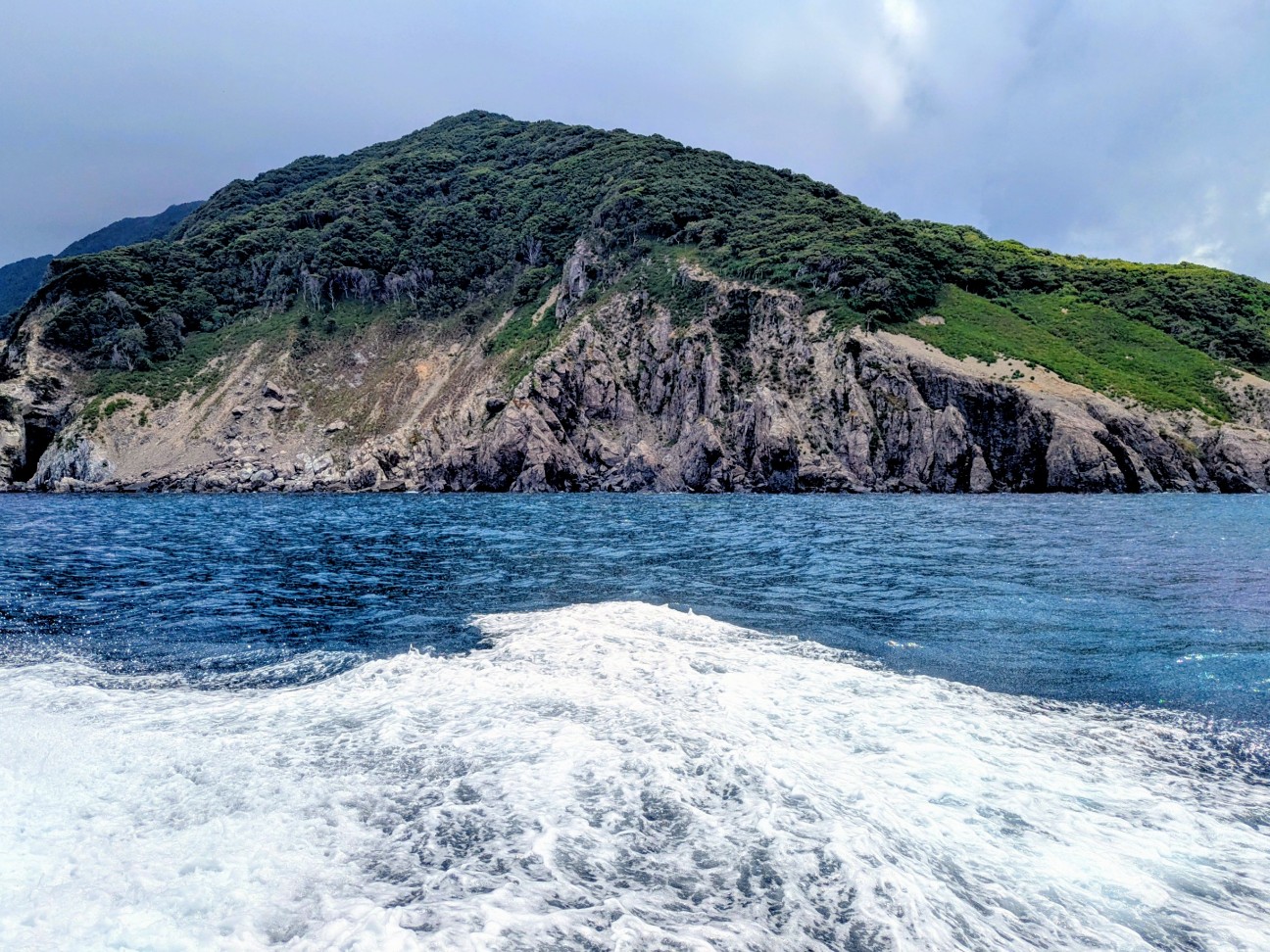 f:id:ranchou:20250803114145j:image f:id:ranchou:20250803114145j:image