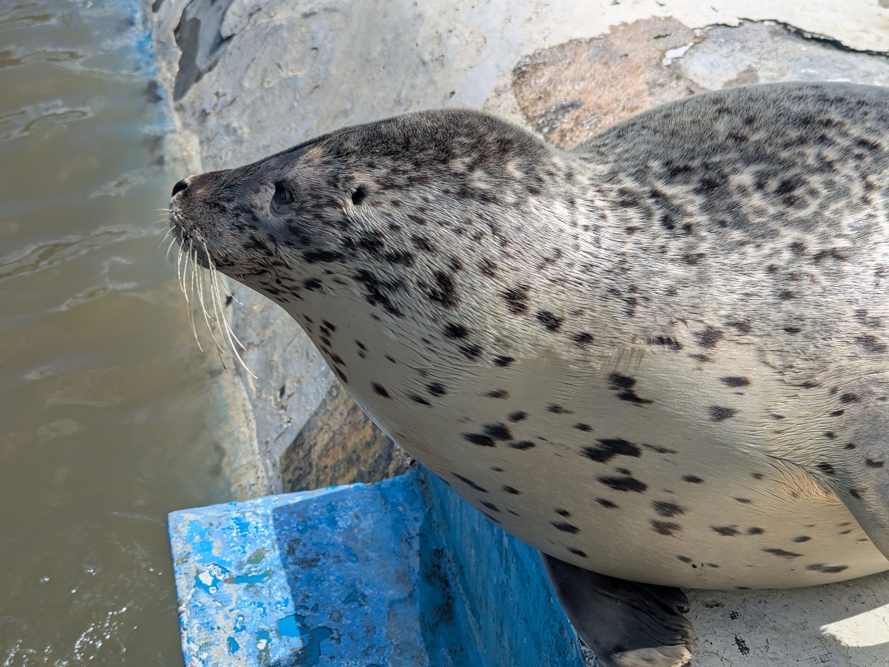 f:id:ranchou:20250809182044j:image f:id:ranchou:20250809182044j:image