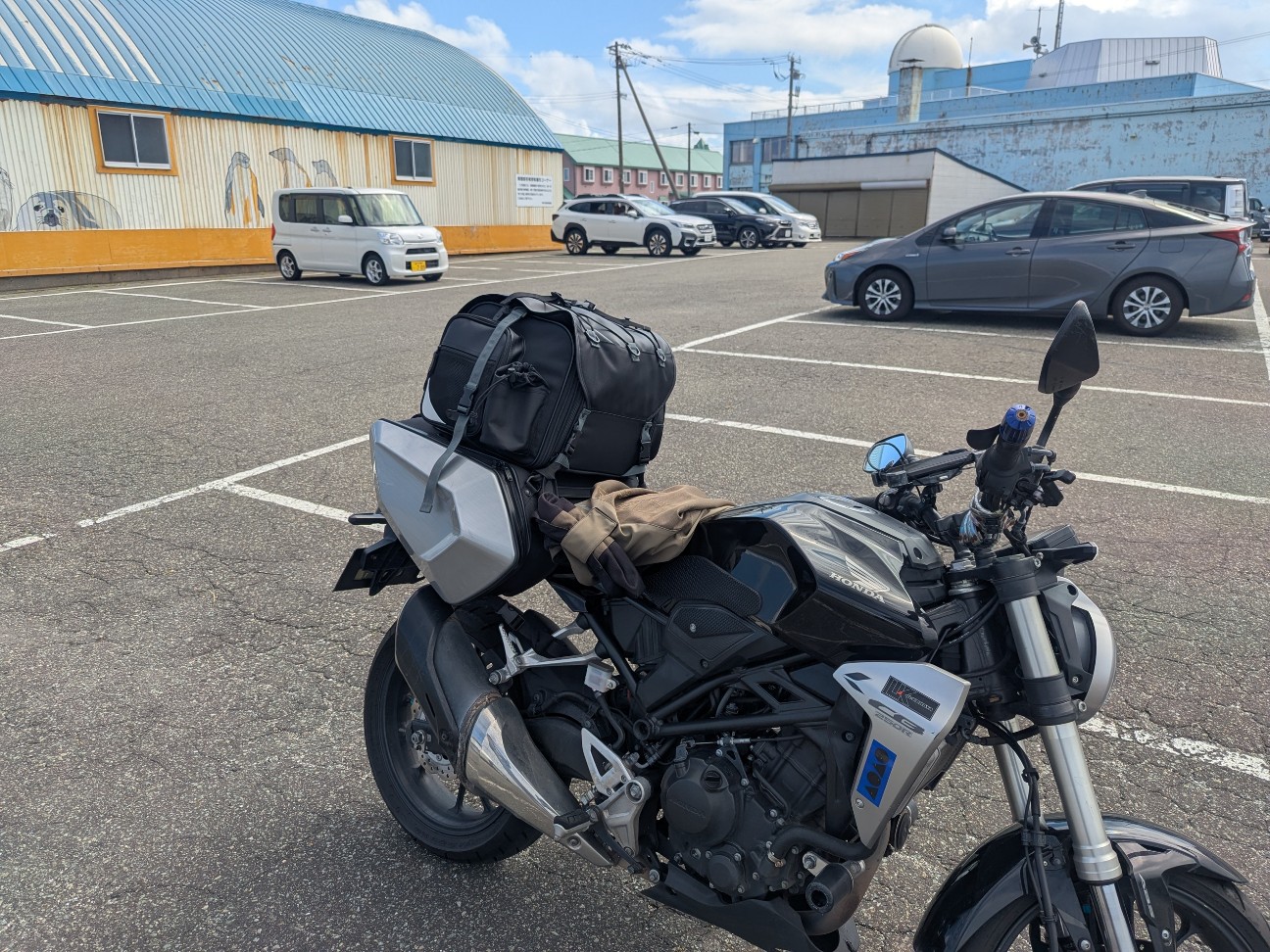 f:id:ranchou:20250809182231j:image f:id:ranchou:20250809182231j:image