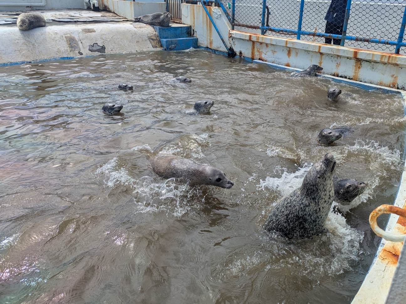 f:id:ranchou:20250809182452j:image f:id:ranchou:20250809182452j:image