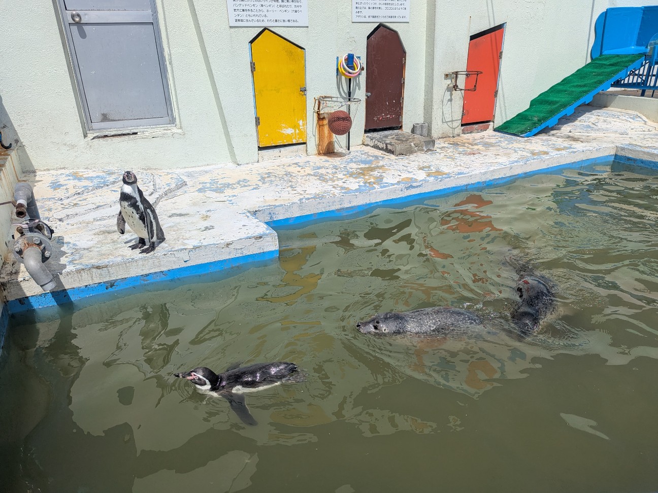 f:id:ranchou:20250809182604j:image f:id:ranchou:20250809182604j:image