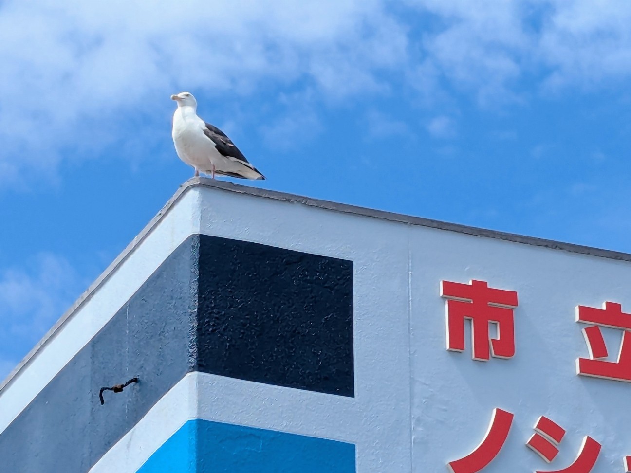 f:id:ranchou:20250809182723j:image f:id:ranchou:20250809182723j:image