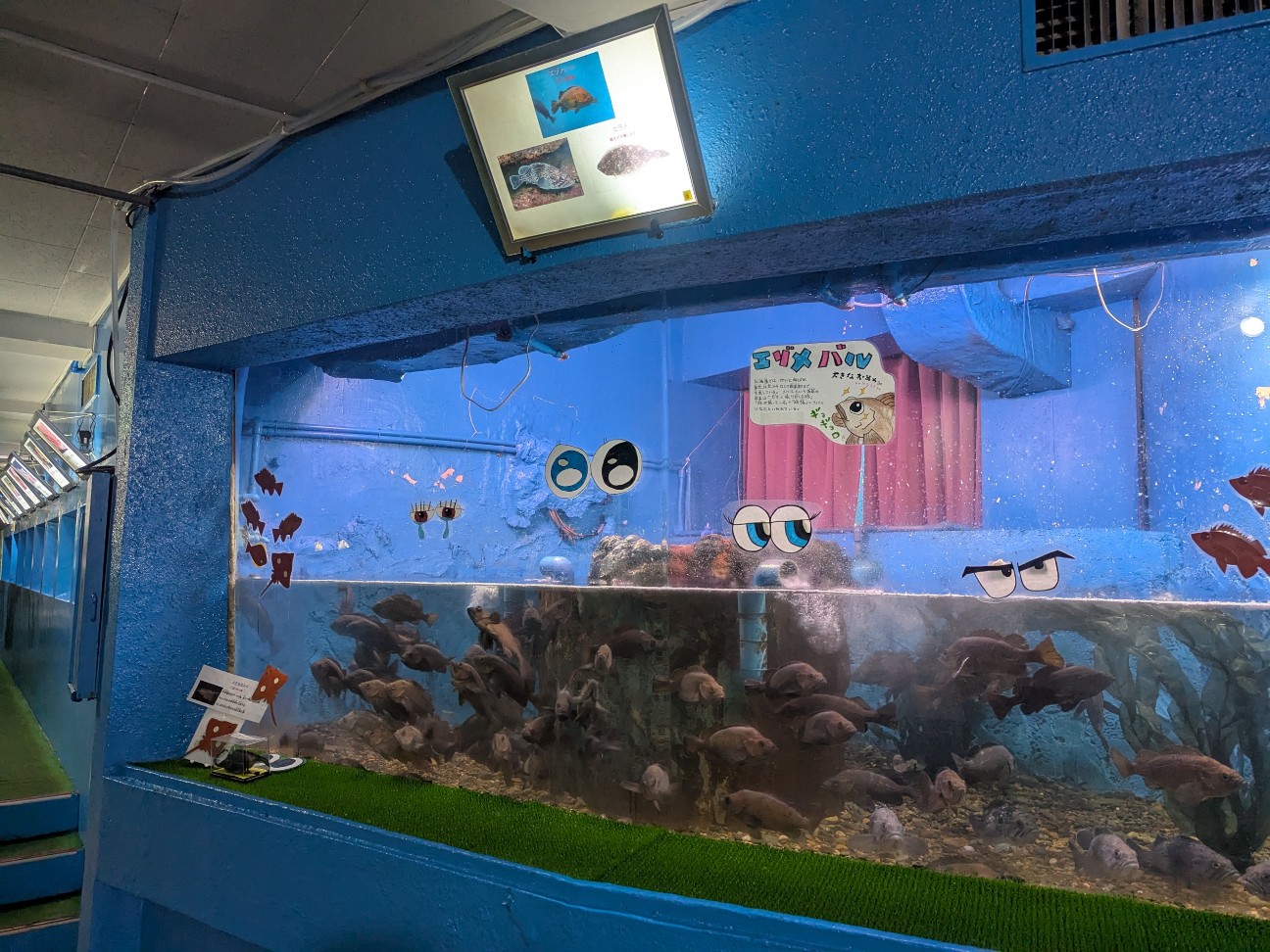 f:id:ranchou:20250809182835j:image f:id:ranchou:20250809182835j:image