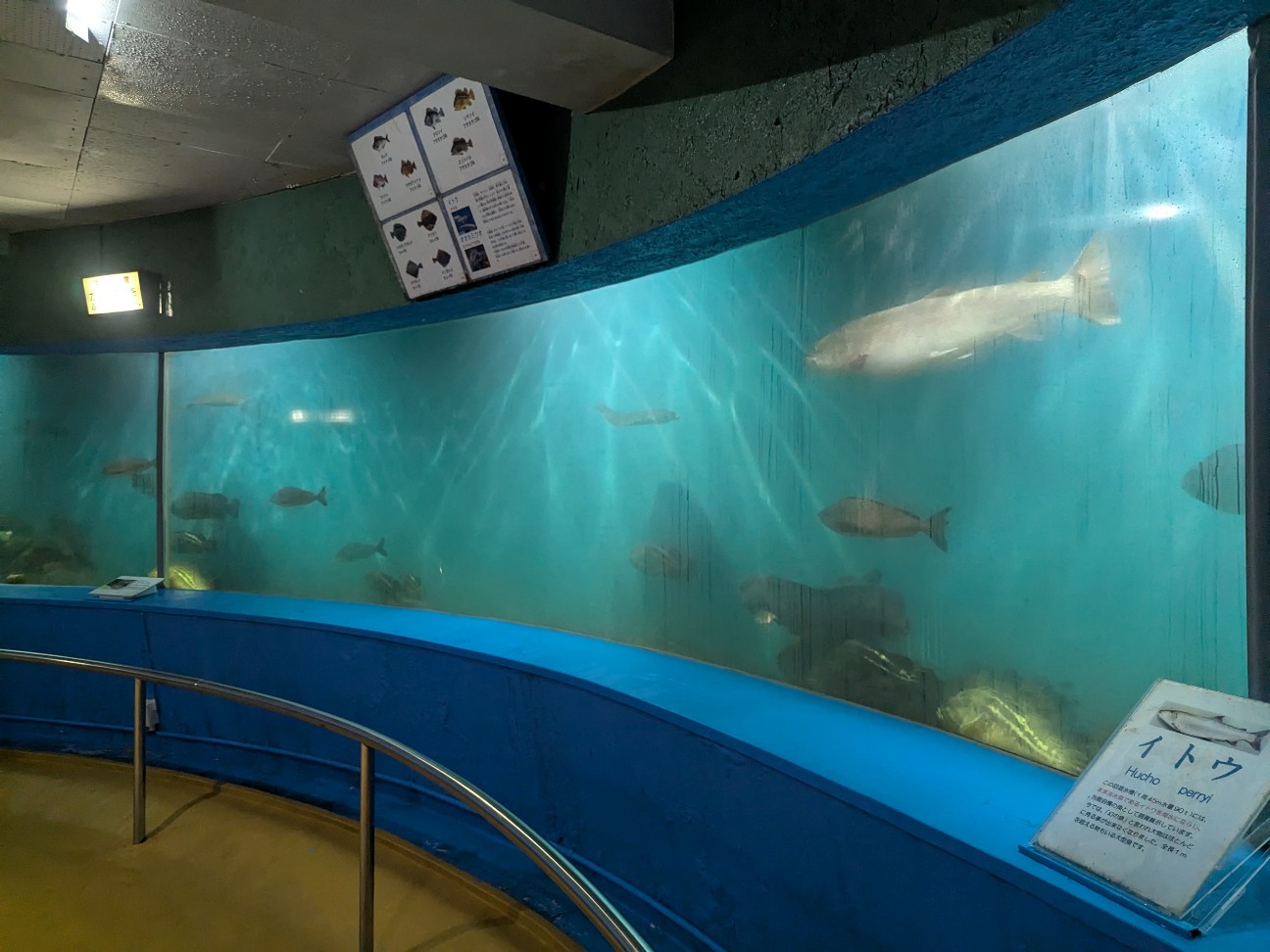 f:id:ranchou:20250809182923j:image f:id:ranchou:20250809182923j:image