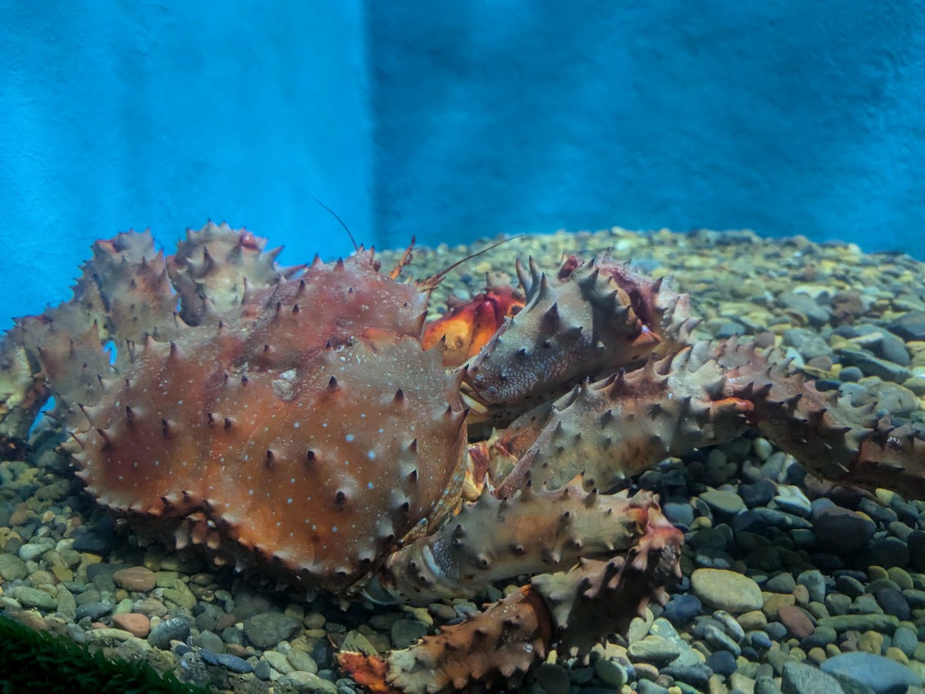 f:id:ranchou:20250809182953j:image f:id:ranchou:20250809182953j:image