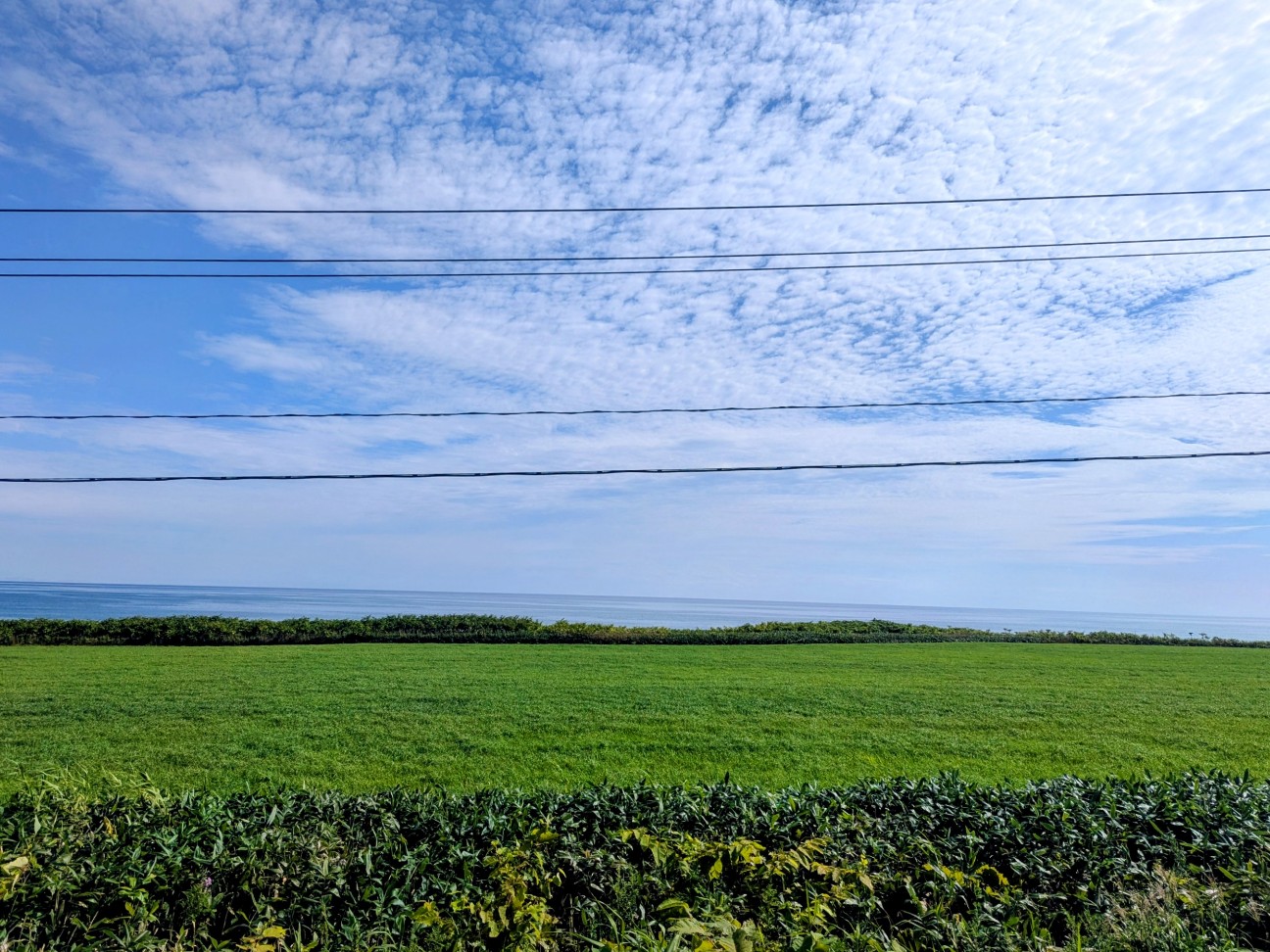 f:id:ranchou:20250810203123j:image