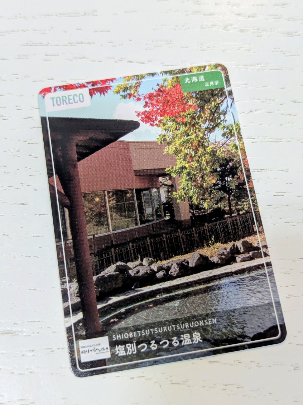 f:id:ranchou:20250810203446j:image