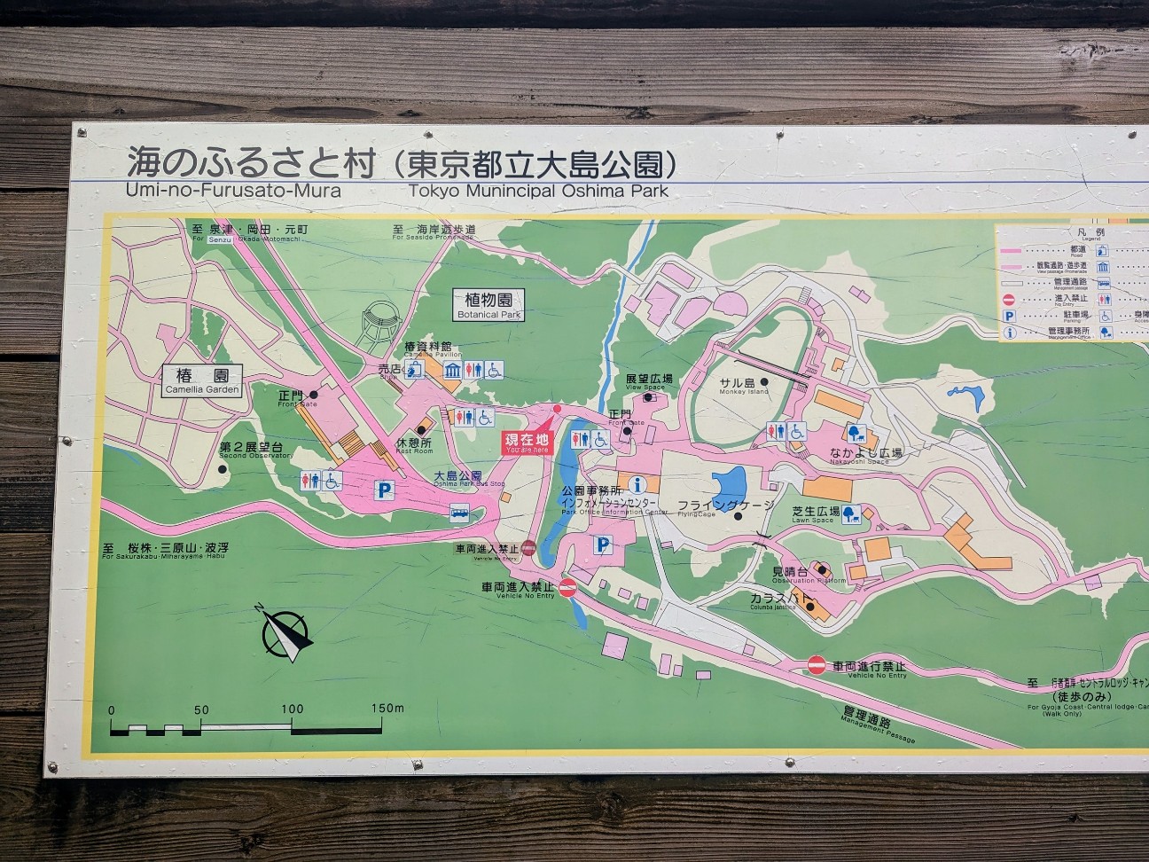 f:id:ranchou:20250828052936j:image f:id:ranchou:20250828052936j:image