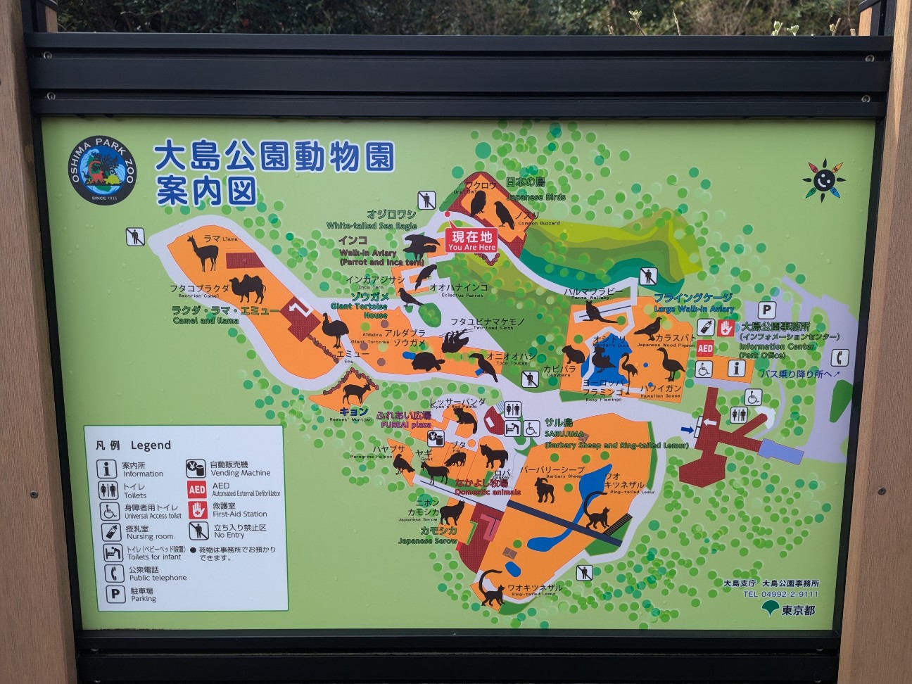 f:id:ranchou:20250828053121j:image f:id:ranchou:20250828053121j:image