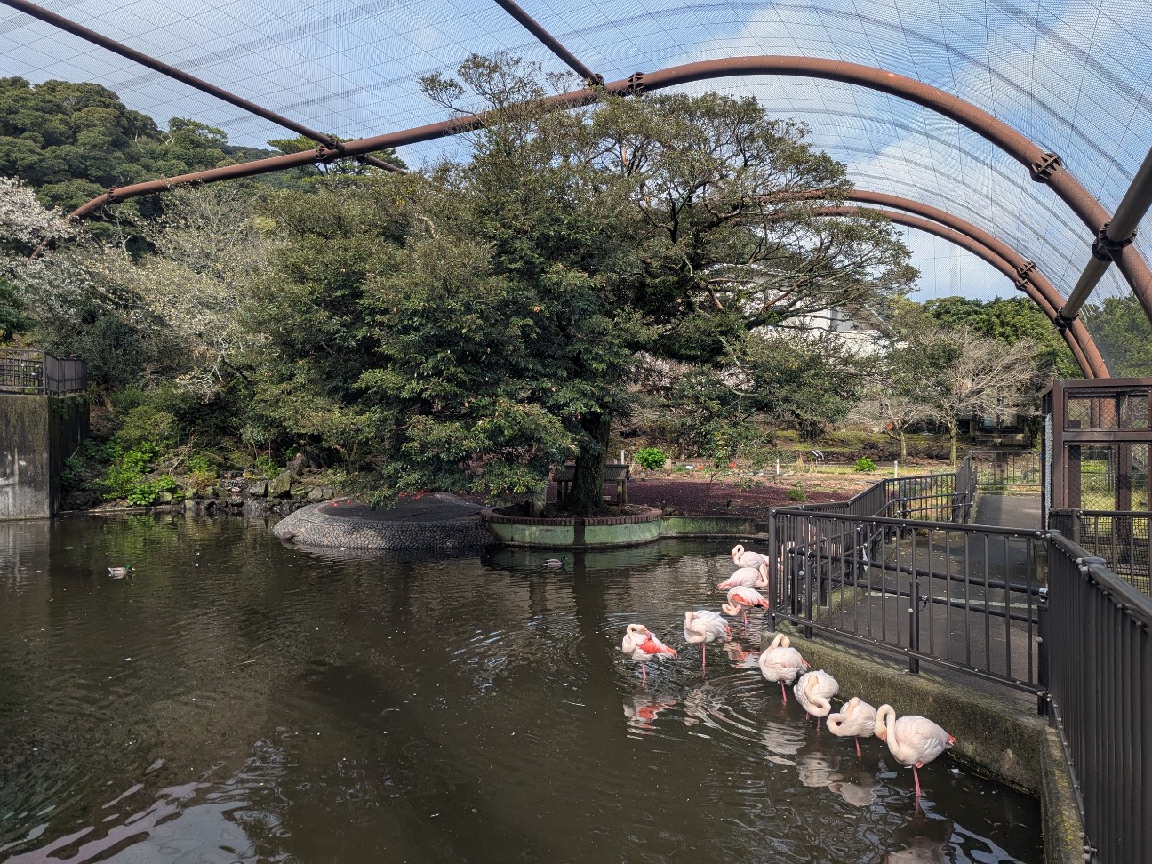 f:id:ranchou:20250828053330j:image f:id:ranchou:20250828053330j:image