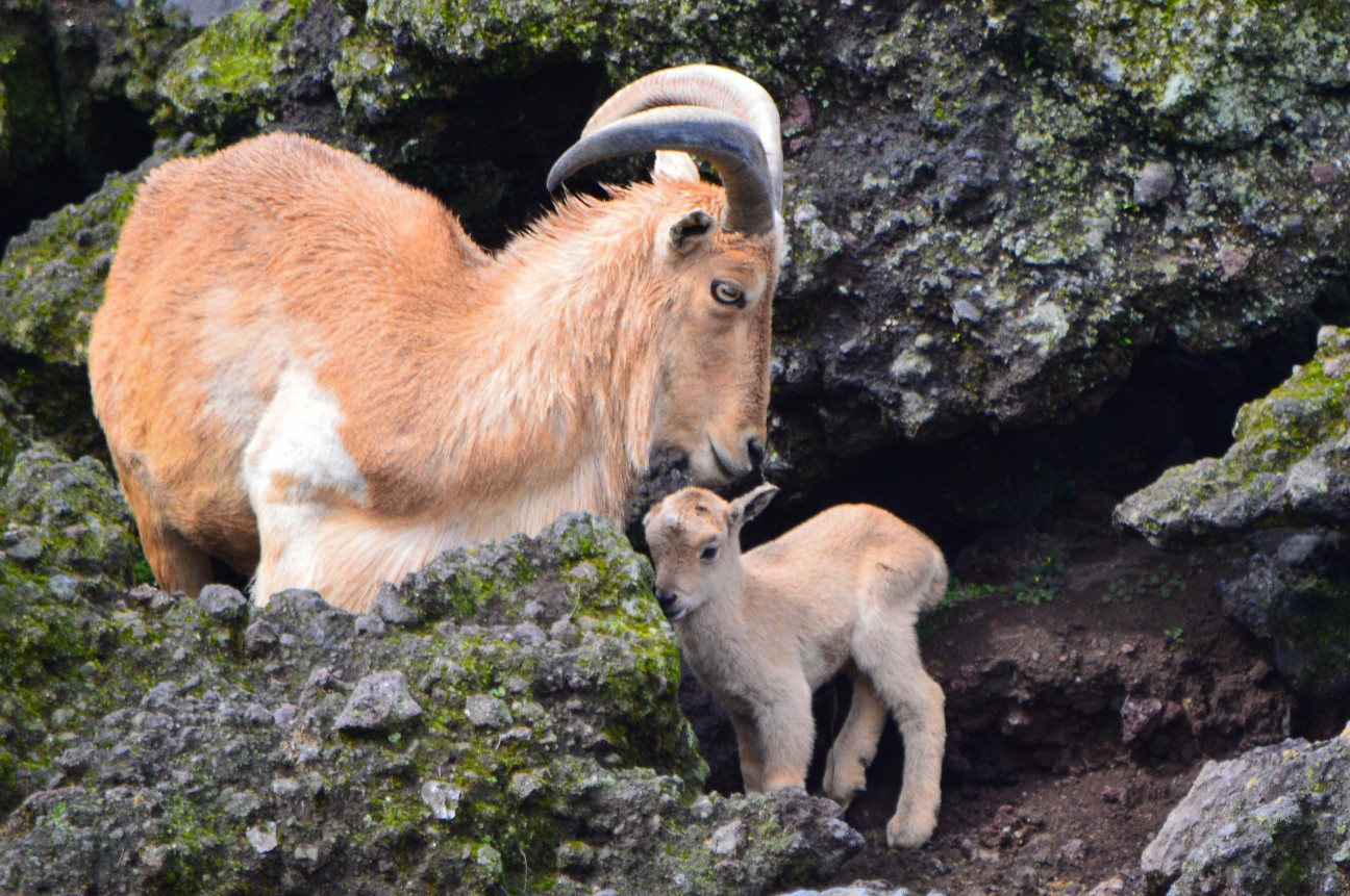 f:id:ranchou:20250828053510j:image f:id:ranchou:20250828053510j:image