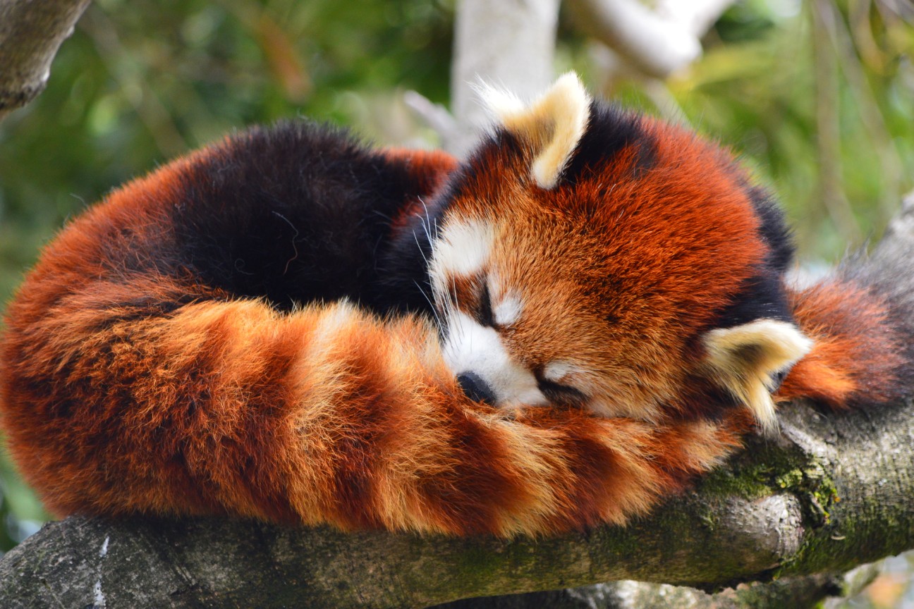 f:id:ranchou:20250828053605j:image f:id:ranchou:20250828053605j:image