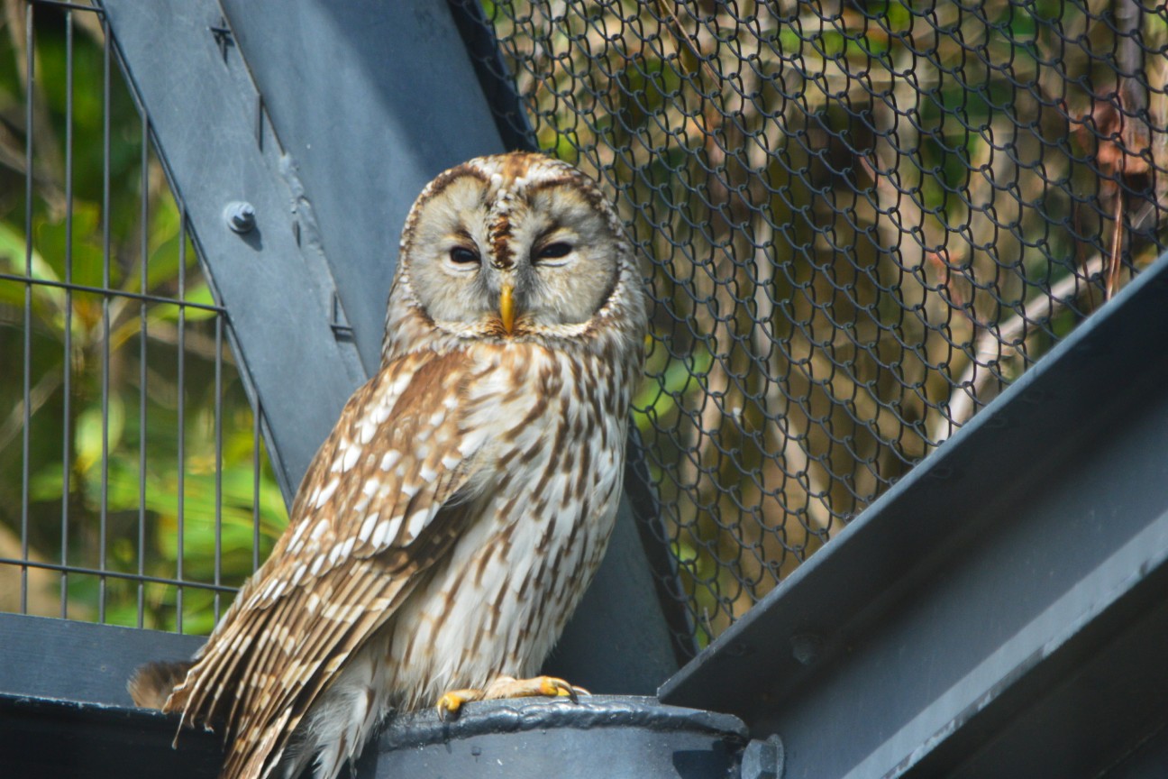 f:id:ranchou:20250828053625j:image f:id:ranchou:20250828053625j:image