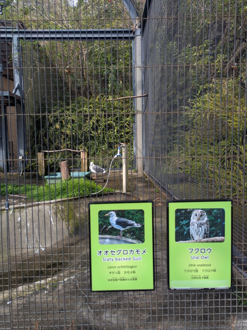 f:id:ranchou:20250828053659j:image f:id:ranchou:20250828053659j:image