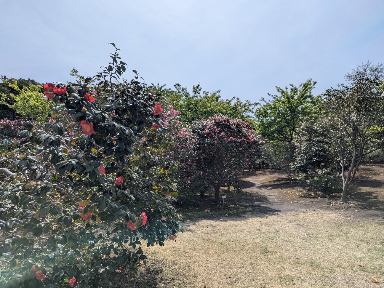 f:id:ranchou:20250829184538j:image f:id:ranchou:20250829184538j:image