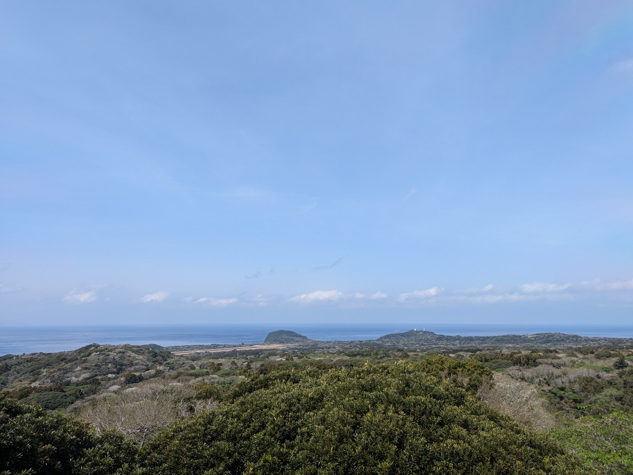 f:id:ranchou:20250829184553j:image f:id:ranchou:20250829184553j:image