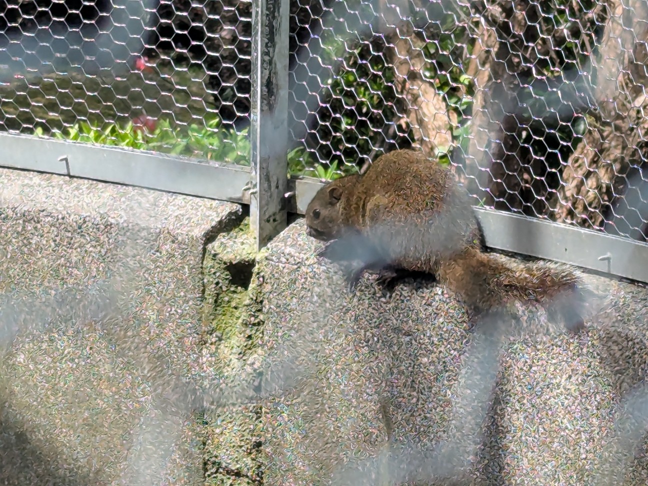 f:id:ranchou:20250829184614j:image f:id:ranchou:20250829184614j:image