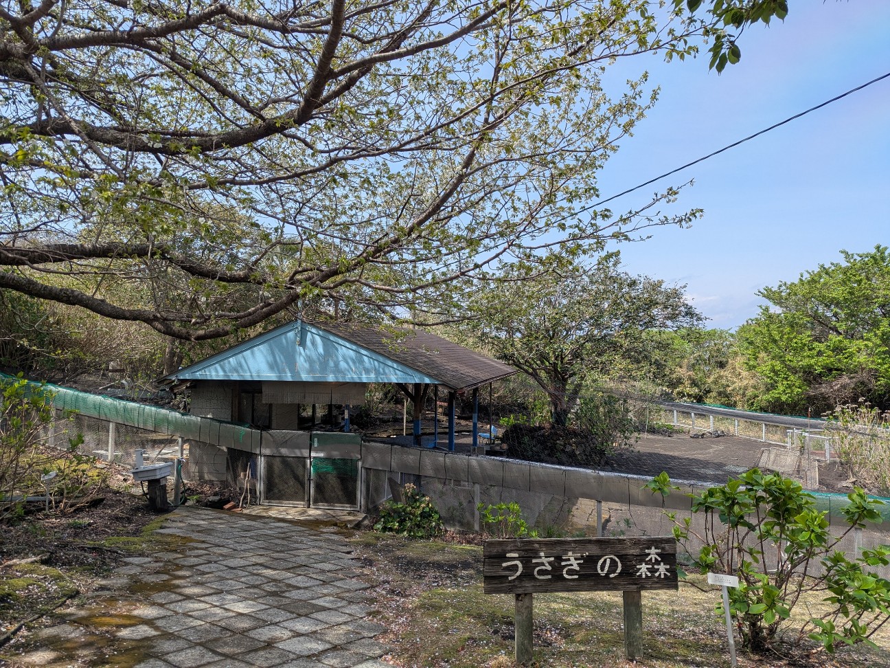 f:id:ranchou:20250829184735j:image f:id:ranchou:20250829184735j:image