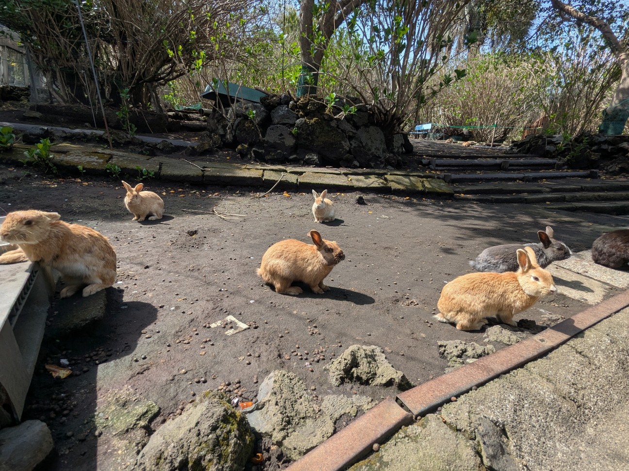 f:id:ranchou:20250829185142j:image f:id:ranchou:20250829185142j:image