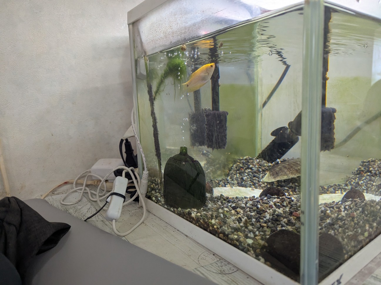 f:id:ranchou:20250830153940j:image