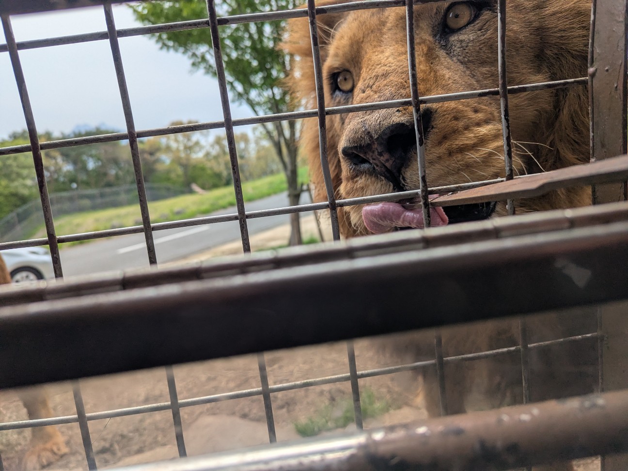 f:id:ranchou:20250830154235j:image