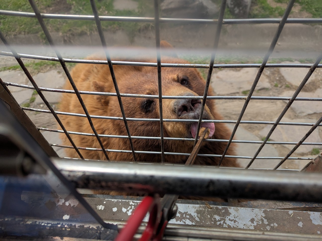 f:id:ranchou:20250830154244j:image