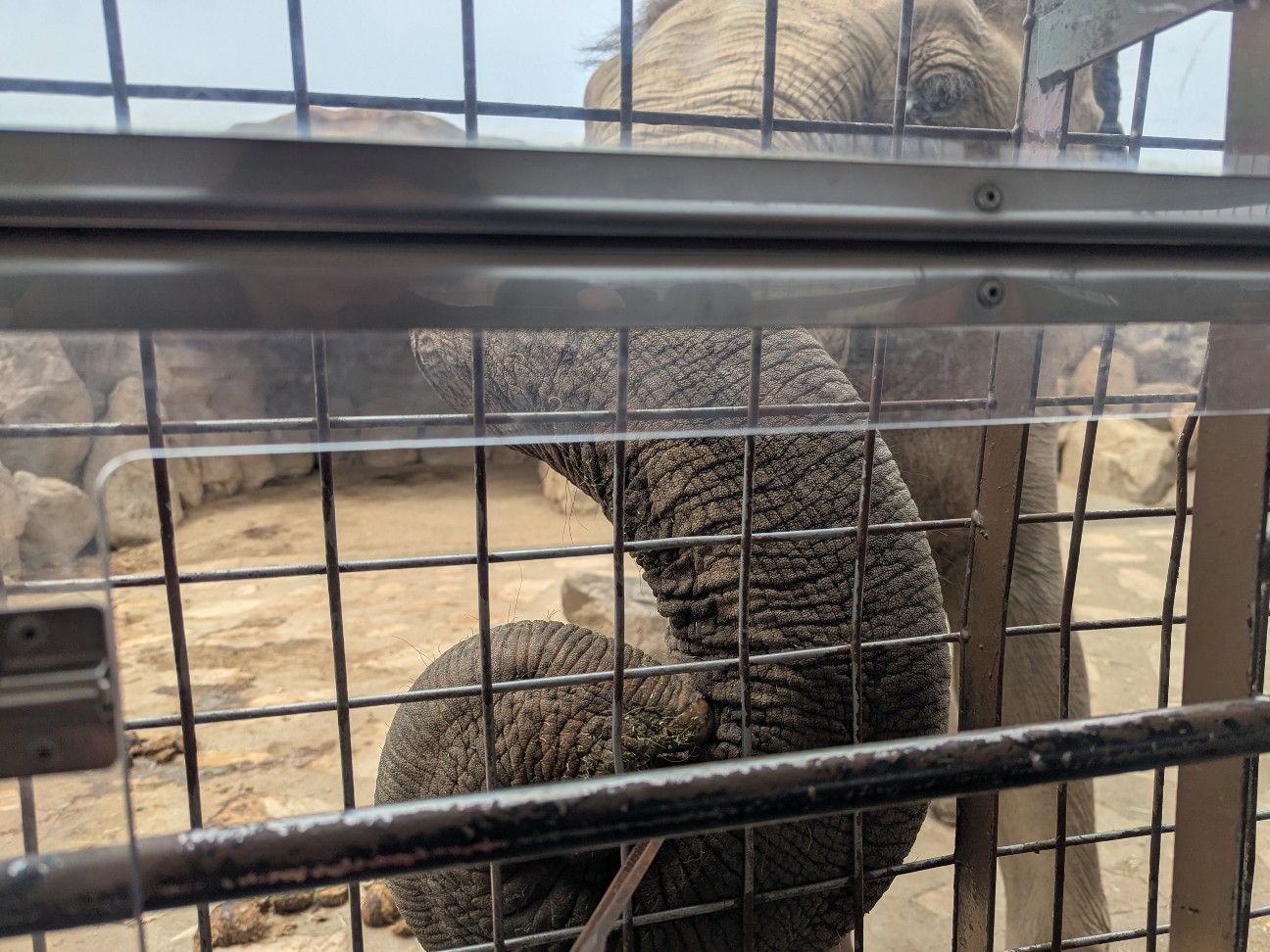 f:id:ranchou:20250830154346j:image