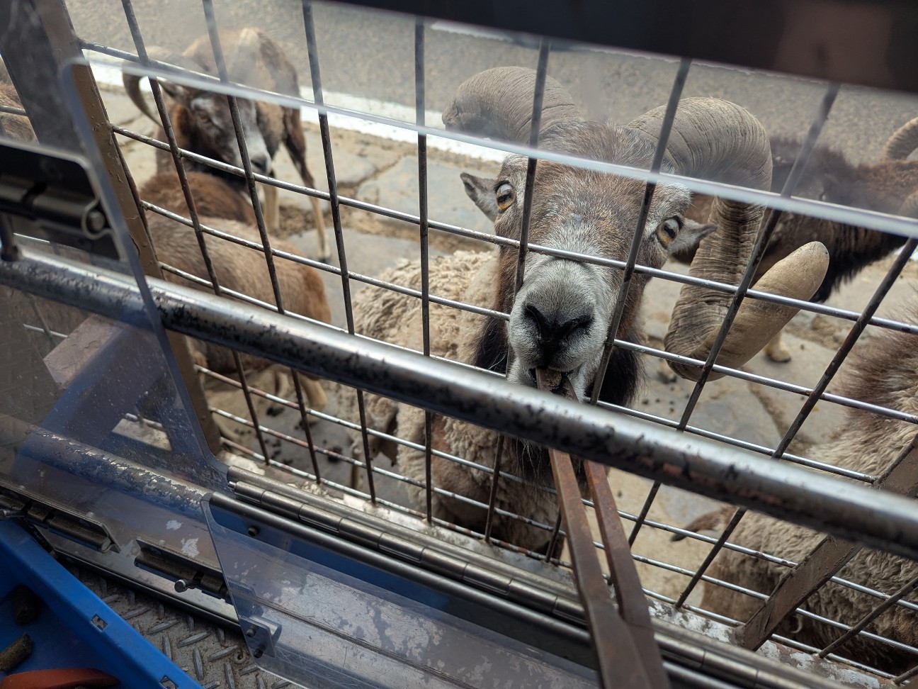 f:id:ranchou:20250830154403j:image