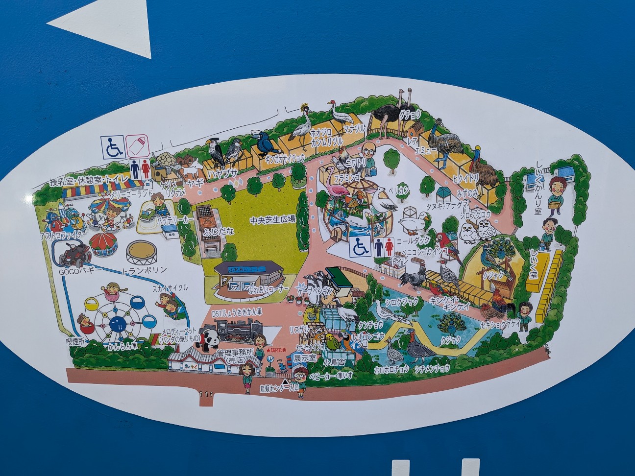 f:id:ranchou:20250910121853j:image