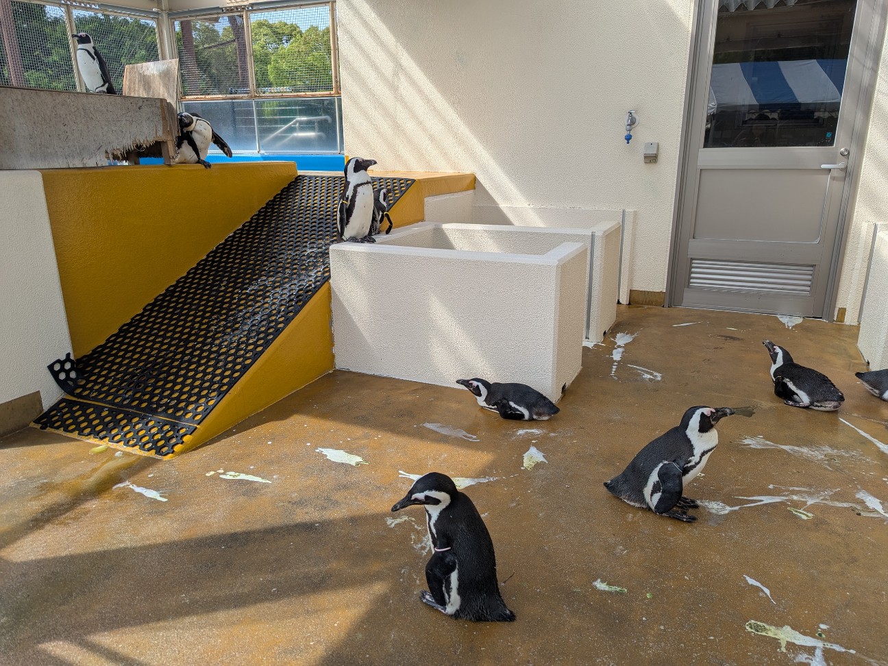 f:id:ranchou:20250910122039j:image