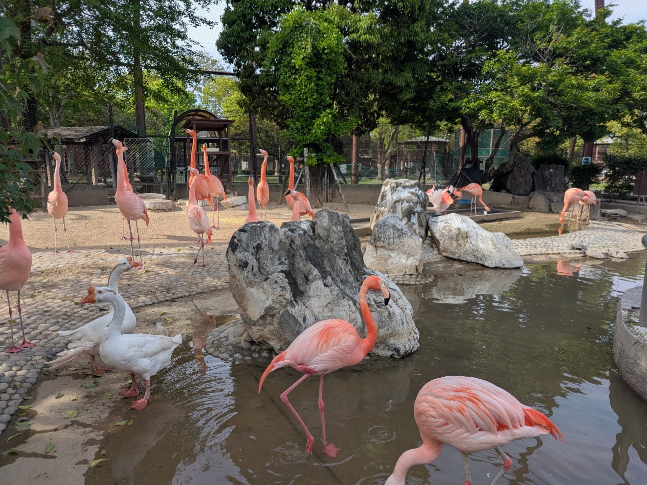 f:id:ranchou:20250910122054j:image