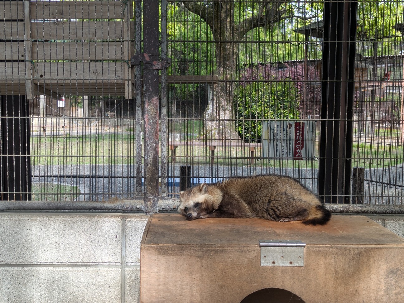 f:id:ranchou:20250910122145j:image