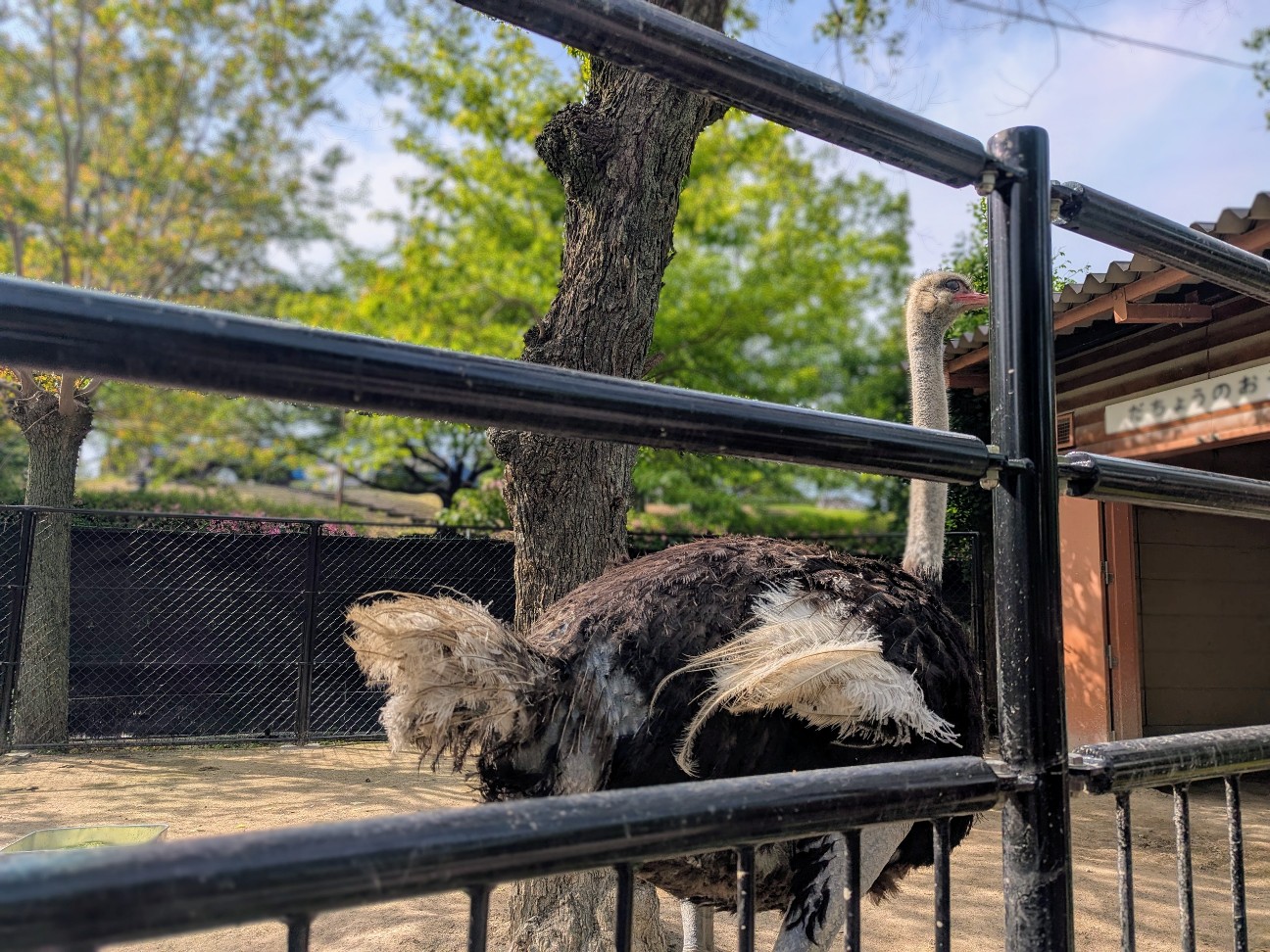 f:id:ranchou:20250910122208j:image