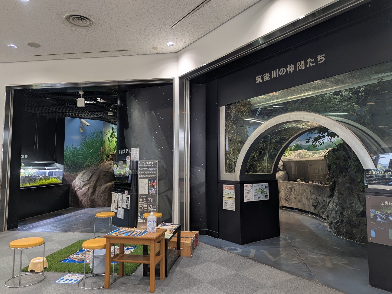 f:id:ranchou:20250911124354j:image f:id:ranchou:20250911124354j:image