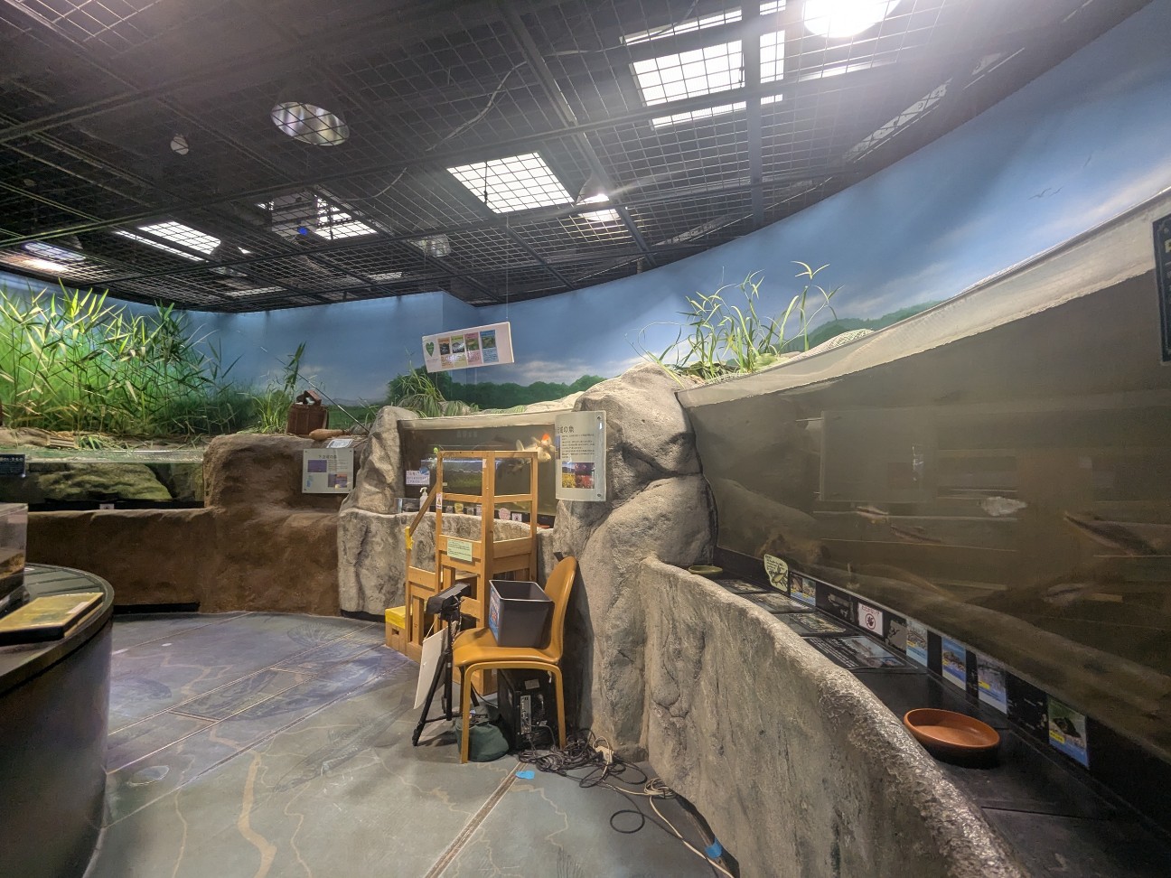 f:id:ranchou:20250912142207j:image f:id:ranchou:20250912142207j:image