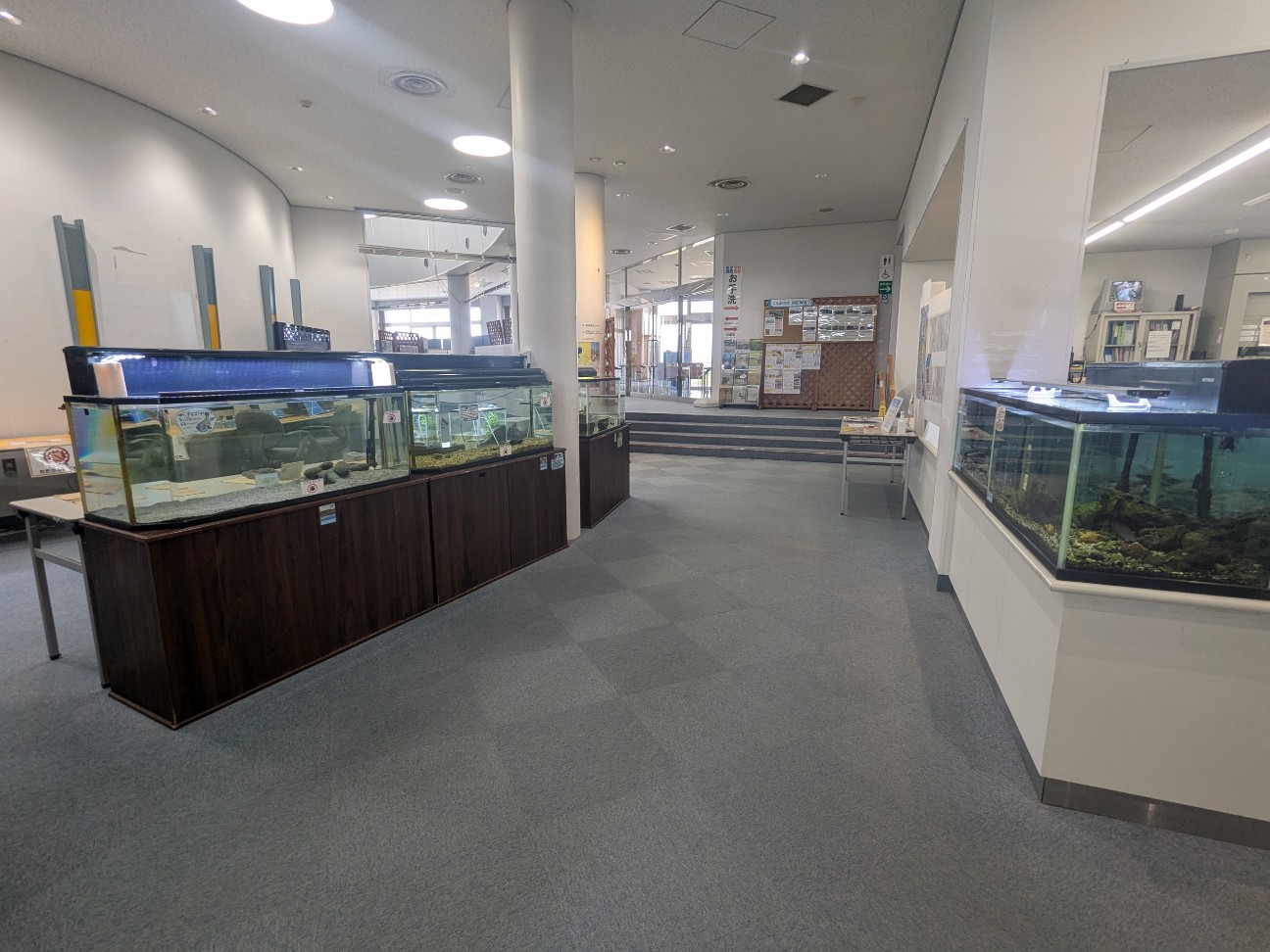 f:id:ranchou:20250912142412j:image f:id:ranchou:20250912142412j:image