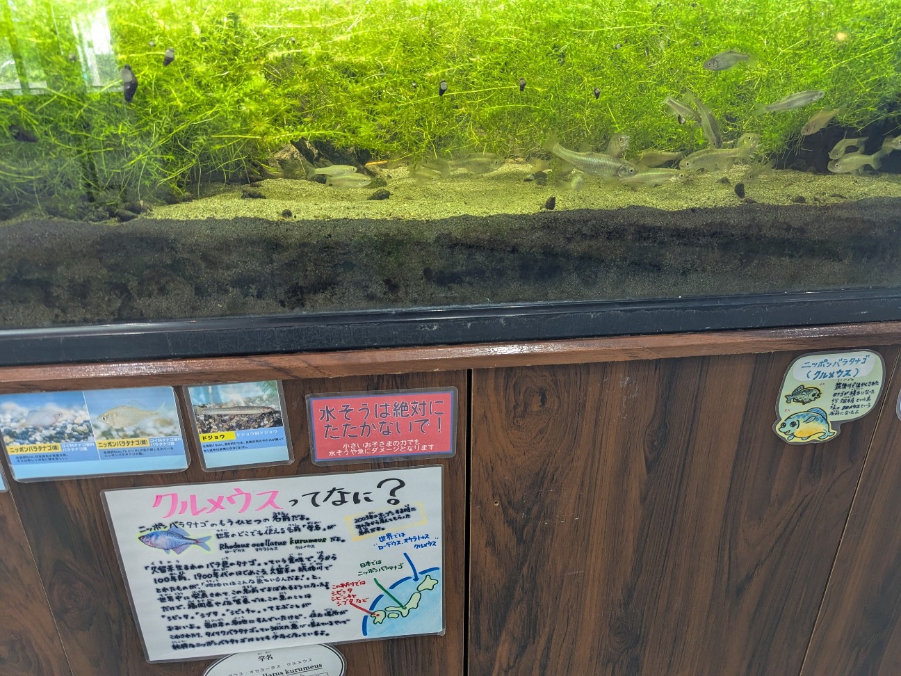 f:id:ranchou:20250912142458j:image f:id:ranchou:20250912142458j:image