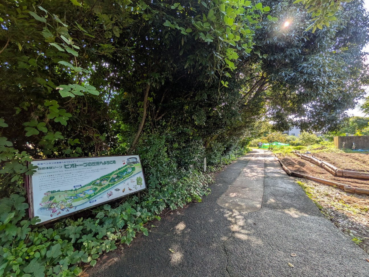 f:id:ranchou:20251005095857j:image f:id:ranchou:20251005095857j:image