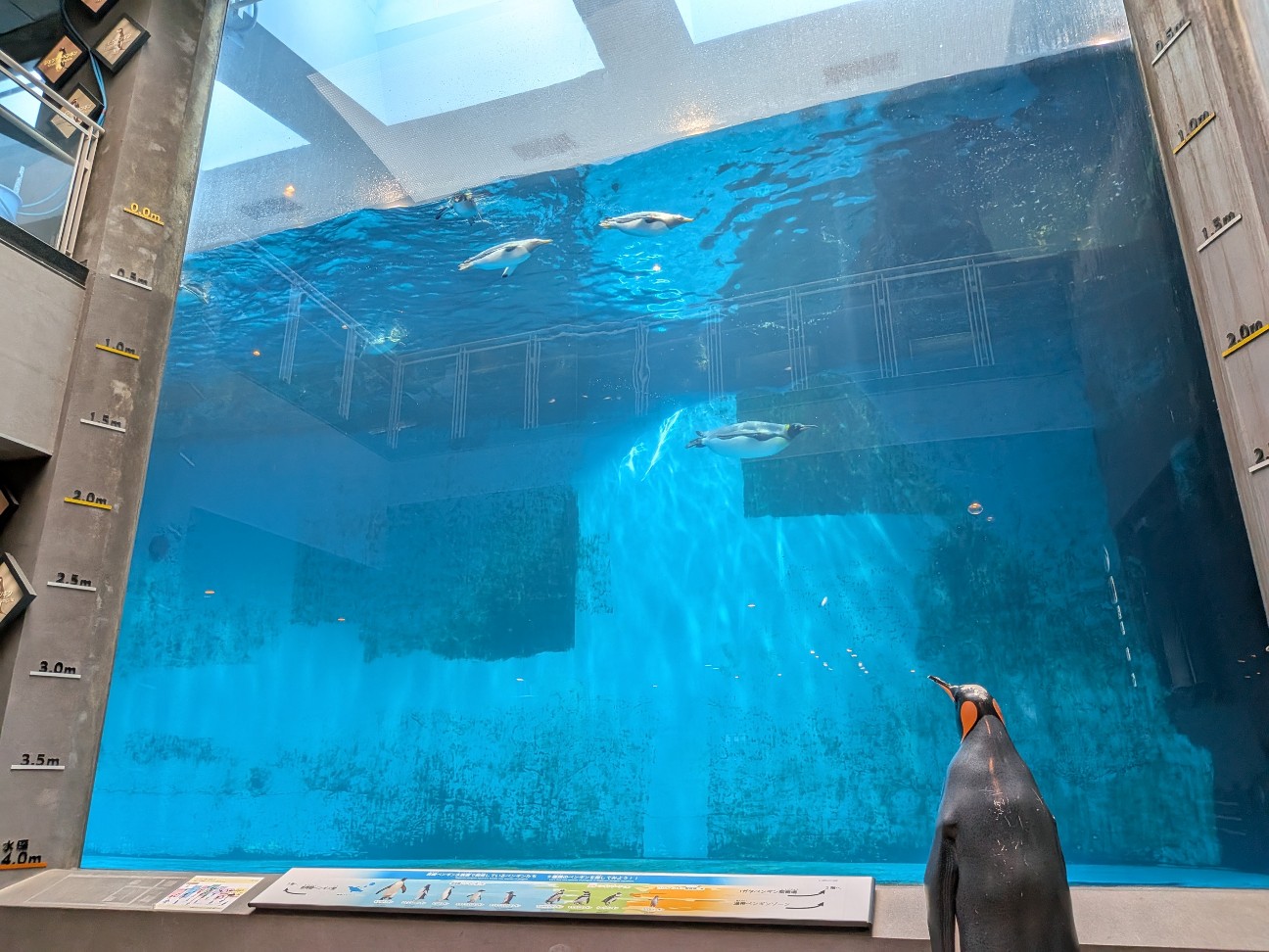 f:id:ranchou:20251005100153j:image f:id:ranchou:20251005100153j:image