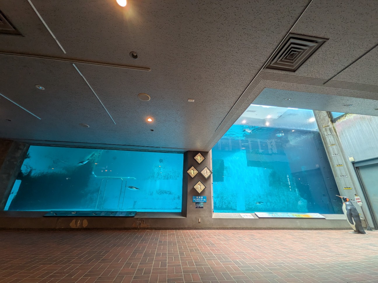 f:id:ranchou:20251005100215j:image f:id:ranchou:20251005100215j:image